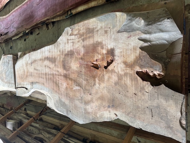 Figured tropical hardwood live-edge slab