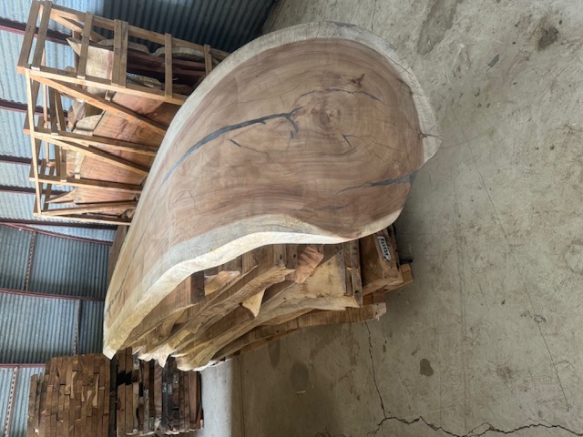 Figured tropical hardwood live-edge slab